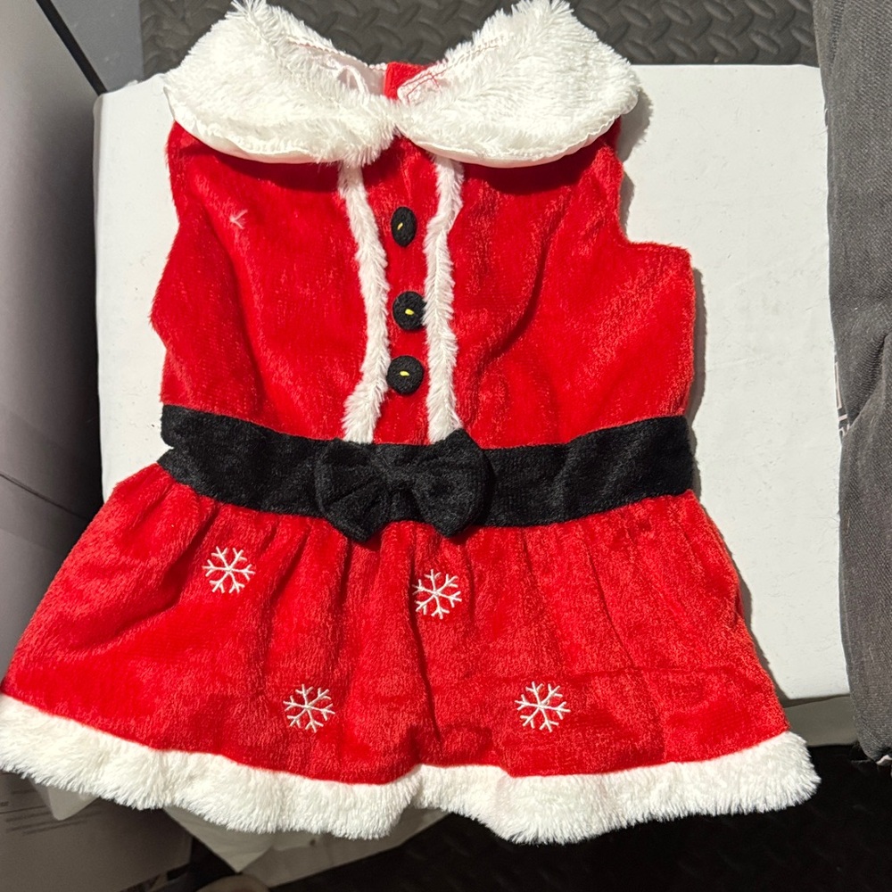 Red Santa Dog Dress with Snowflake Design